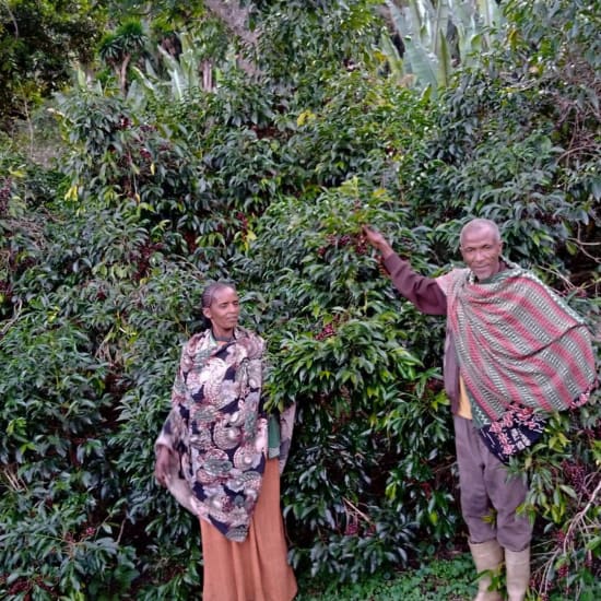 Ethiopia Berhanu Kurse - Gramáž: 1000g