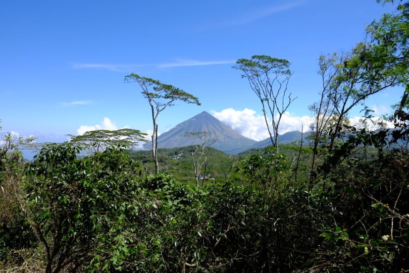 Indonesia Laga Lizu