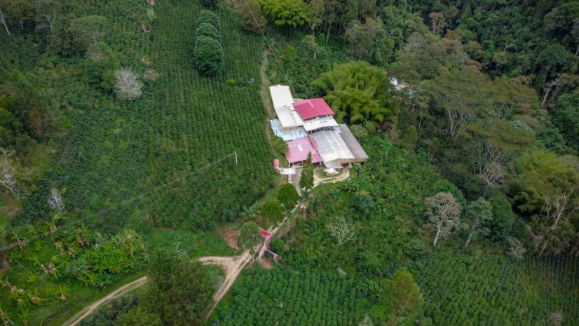 Colombia El Diviso Carbonic Java - Gramáž: 200g