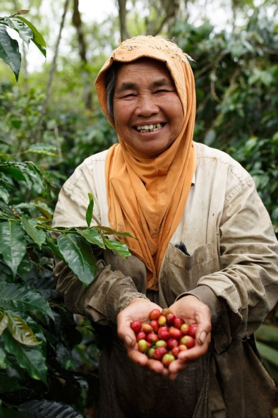 Indonesia Sumatra Mandheling SK-BIO-003