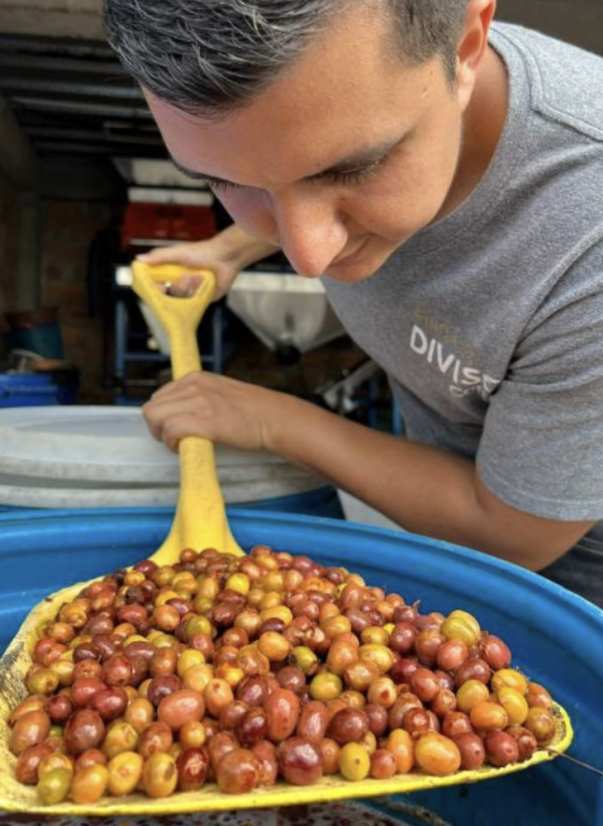 Colombia El Diviso Carbonic Java - Gramáž: 200g