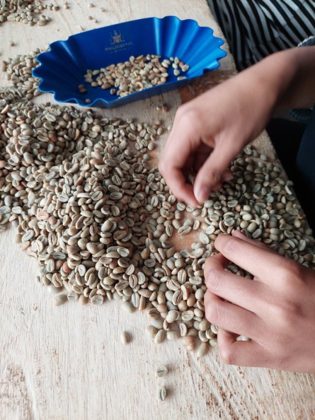 Indonesia Hendra Maulizar - Gramáž: 1000g