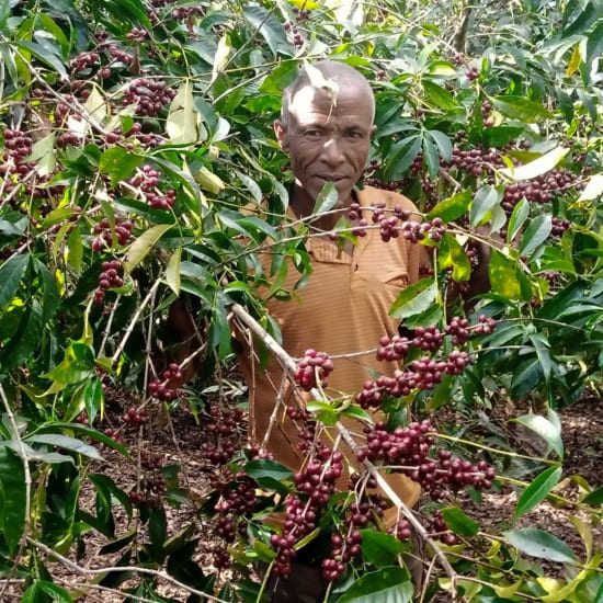 Ethiopia Berhanu Kurse - Gramáž: 1000g